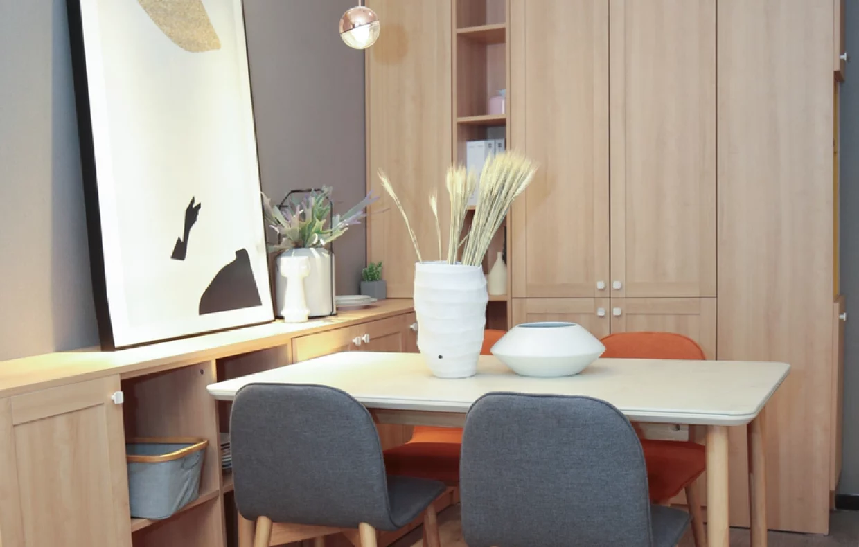 Salon_scandinave2