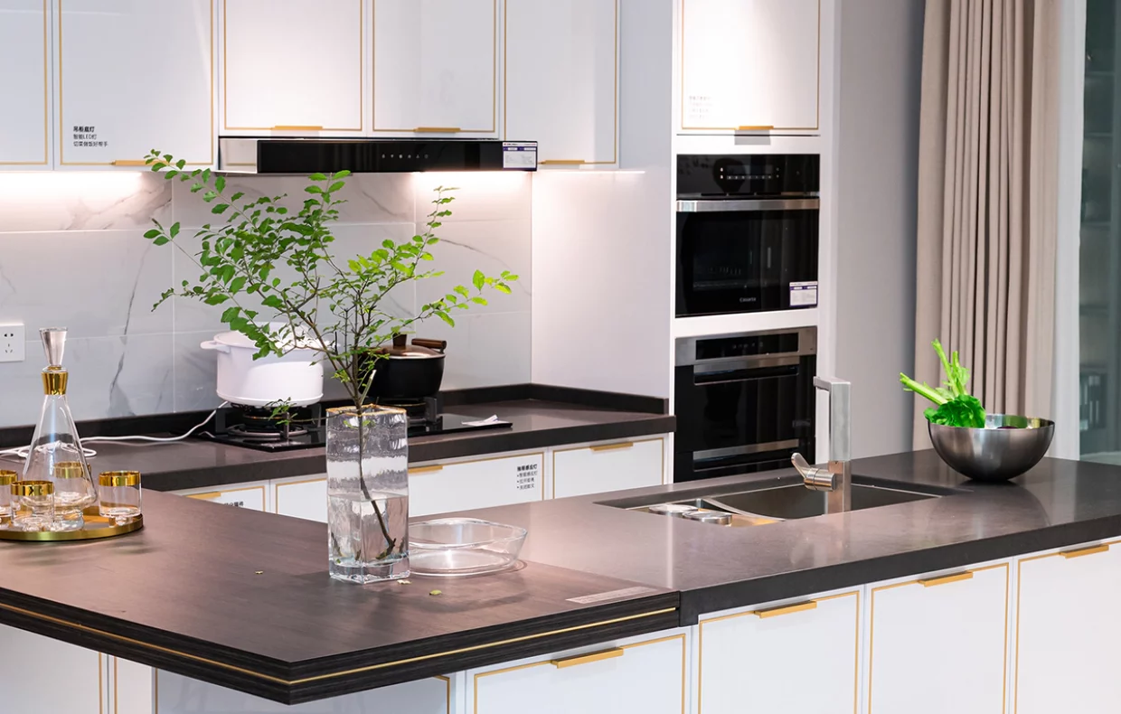 cuisine_light_luxary